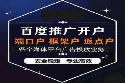 某知名品牌SEM运营策略及效果评估